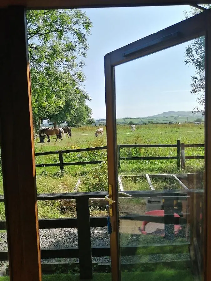Stay With Your Pet Killarney Irlandia