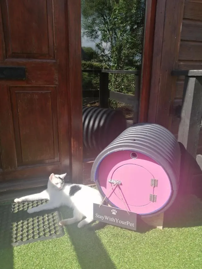 Domek alpejski Stay With Your Pet Killarney