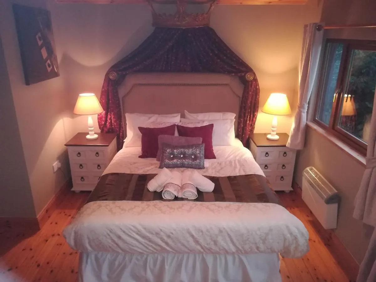 Stay With Your Pet Killarney Ireland