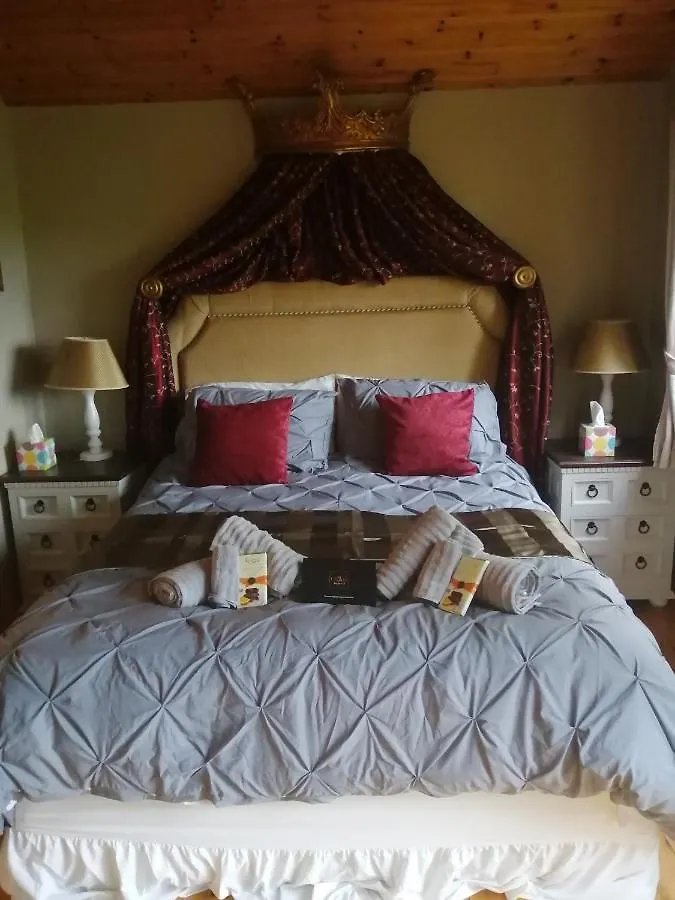 Stay With Your Pet Killarney