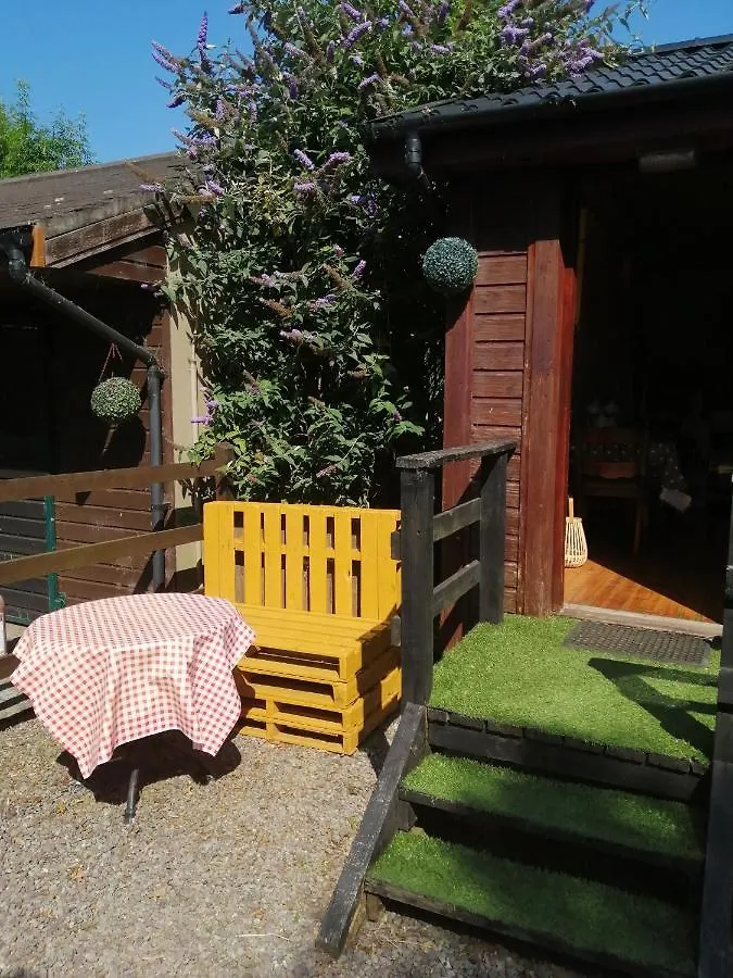 Stay With Your Pet Killarney Chalet